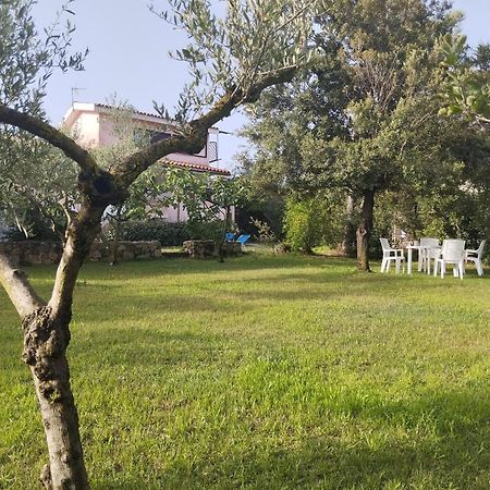 Appartamento In Villa Bruno Olbia Eksteriør billede