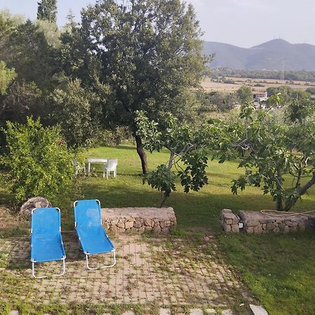 Appartamento In Villa Bruno Olbia Eksteriør billede