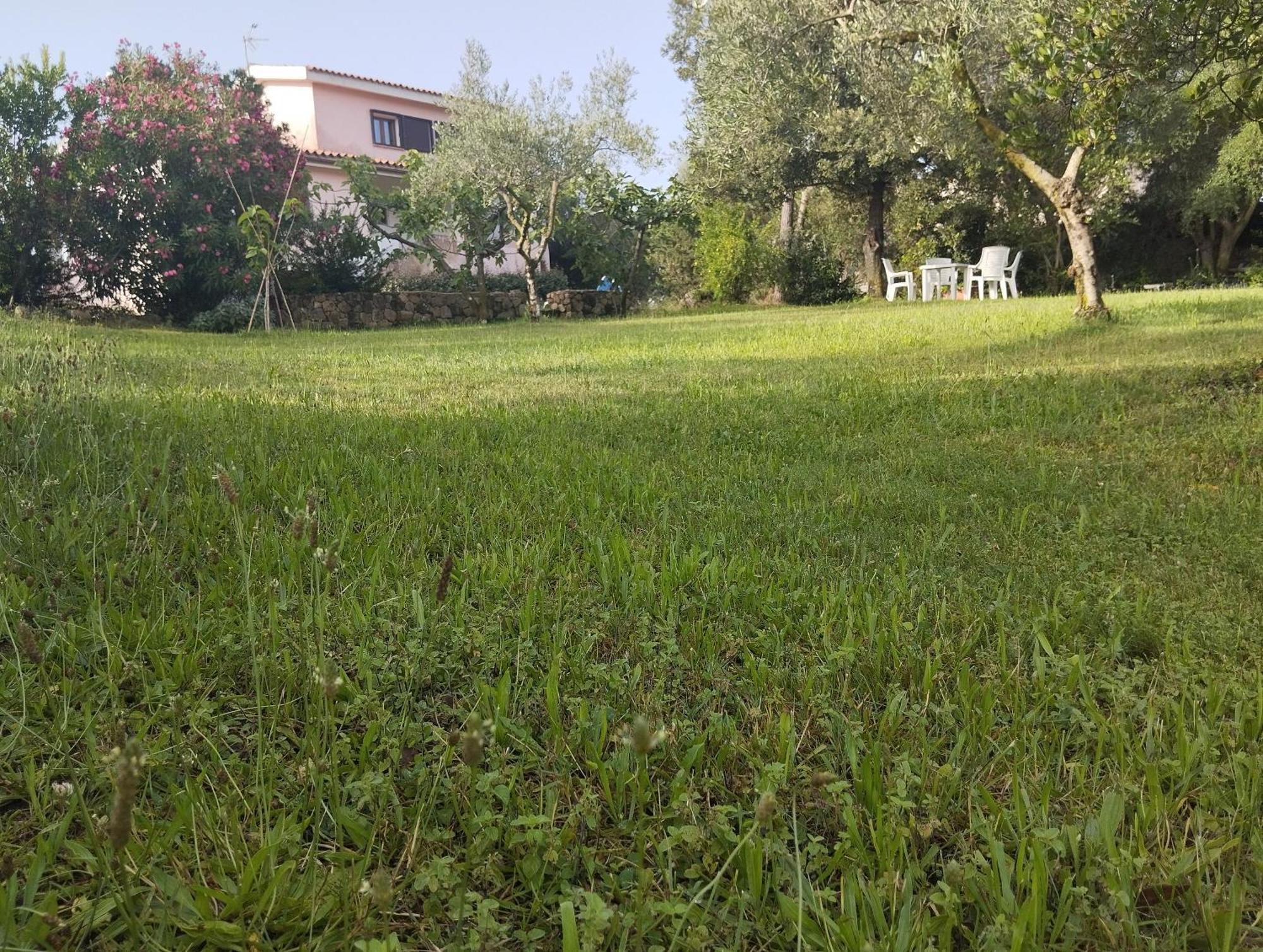 Appartamento In Villa Bruno Olbia Eksteriør billede